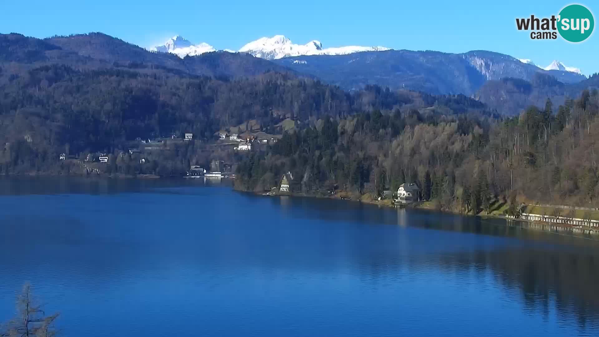 Panorama des Sees Bled