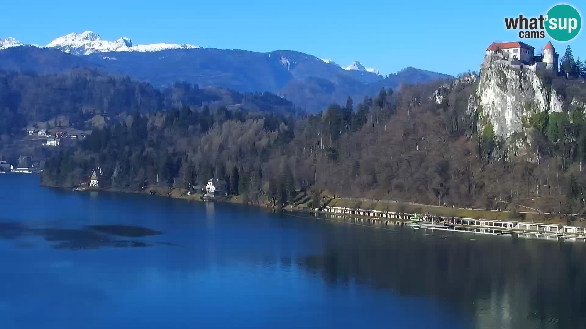 Panorama des Sees Bled