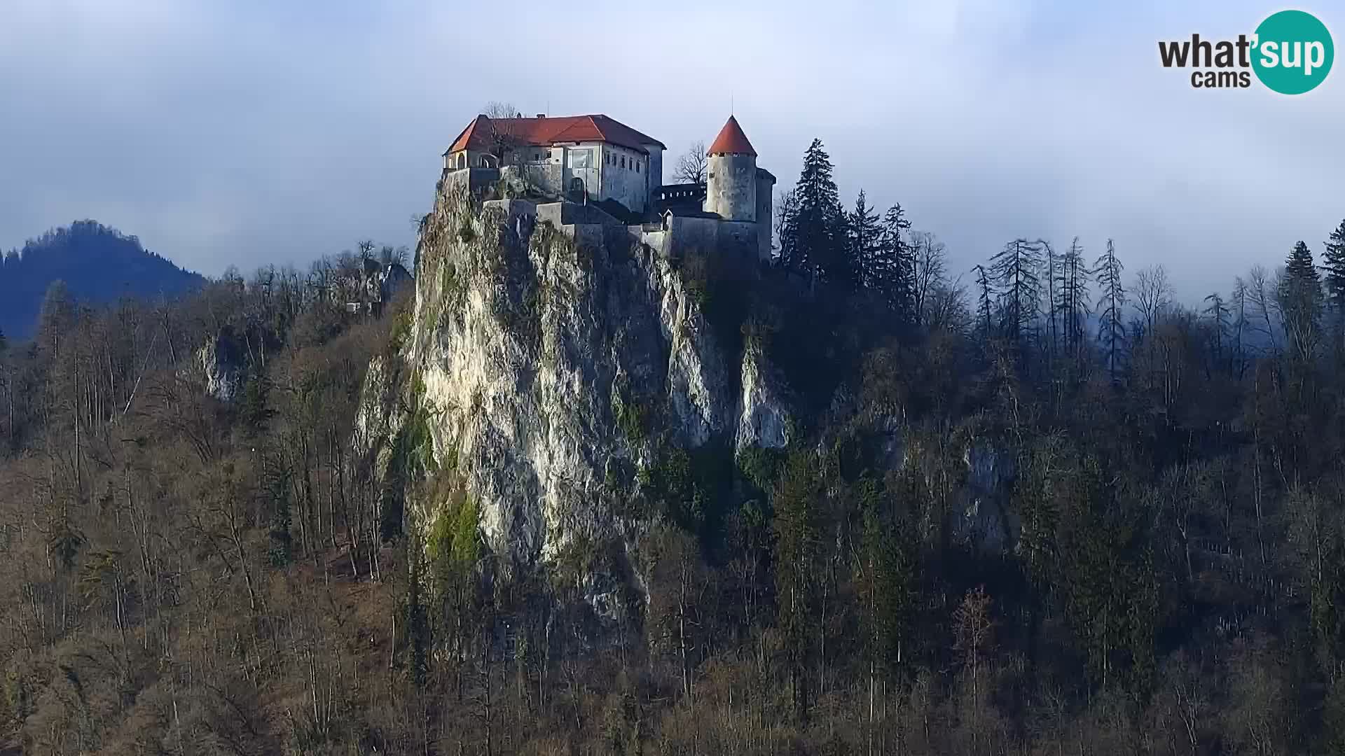 Panorama du lac de Bled