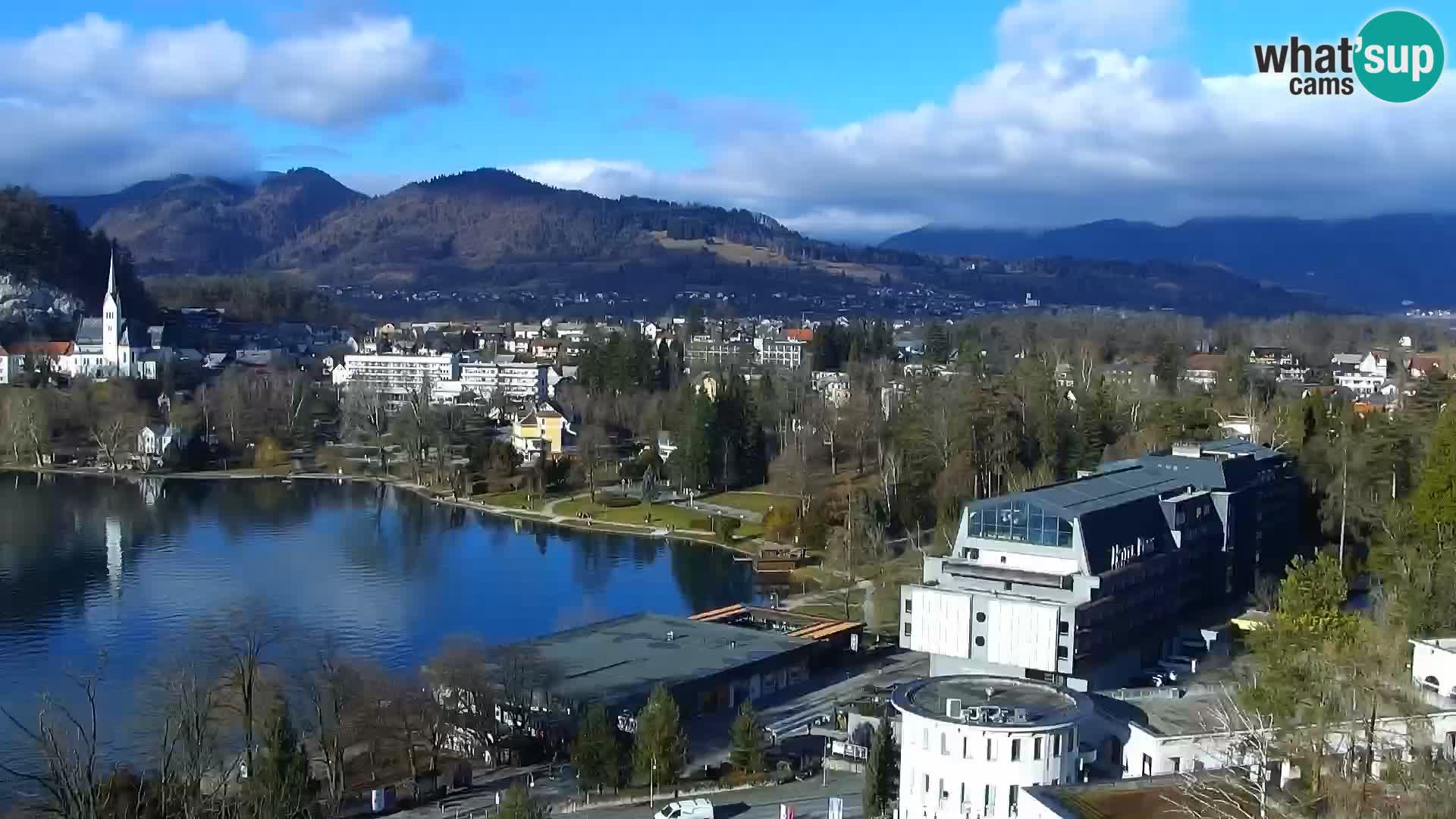 Panorama des Sees Bled