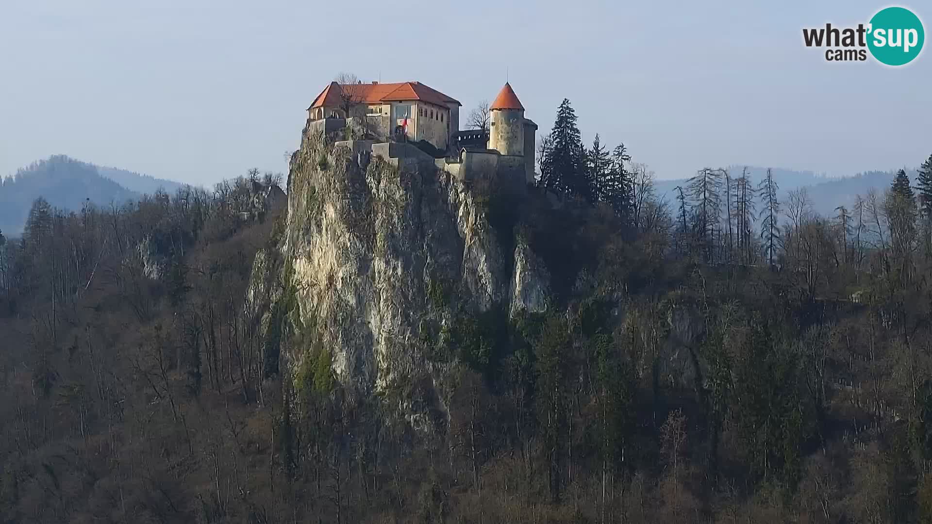 Panorama of Lake Bled