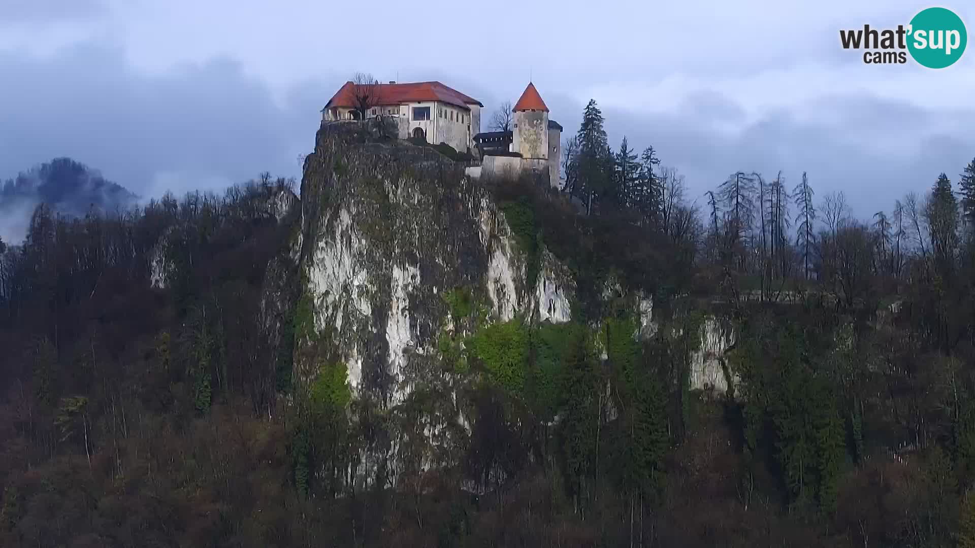 Panorama des Sees Bled