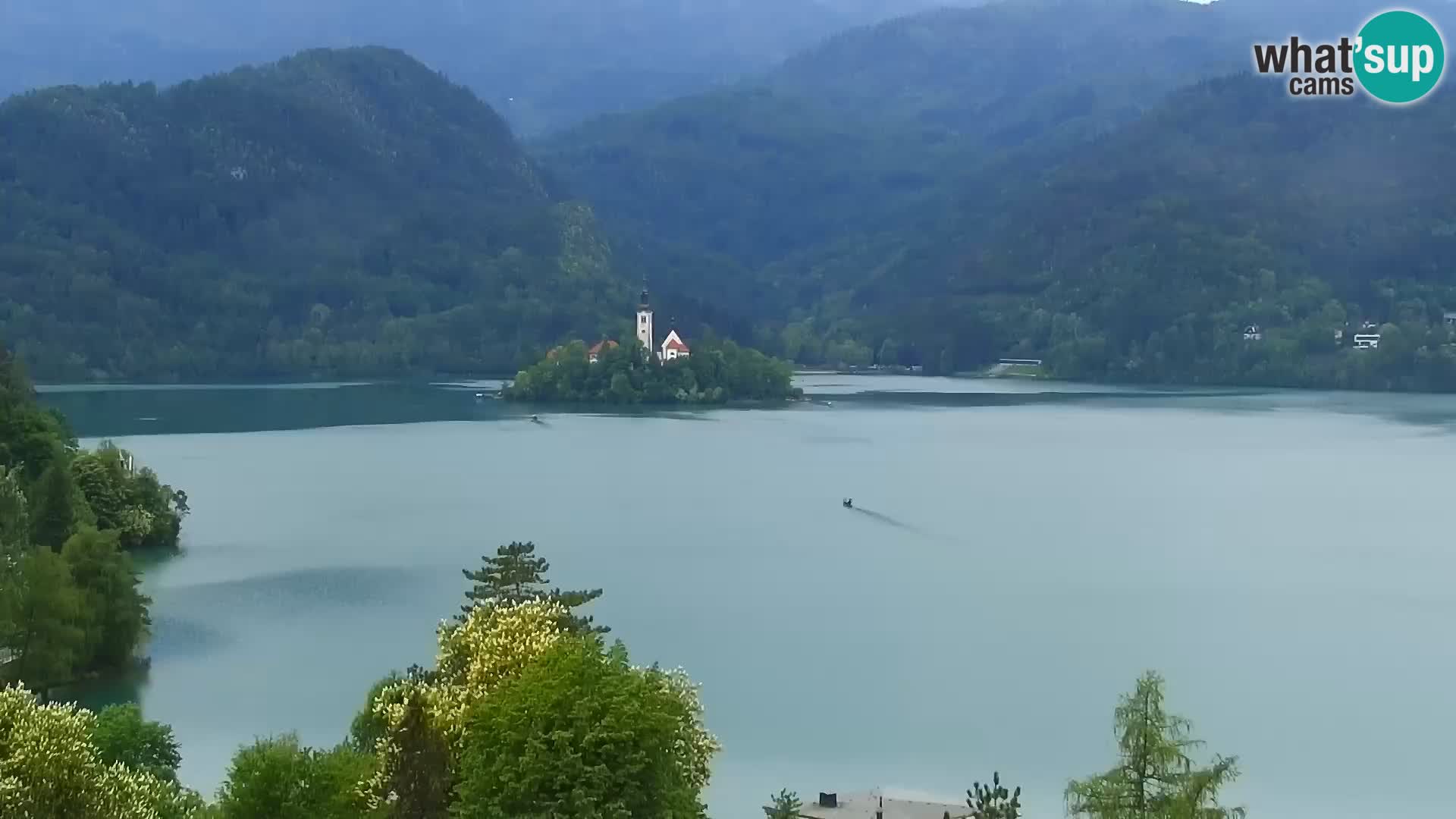 Panorama des Sees Bled