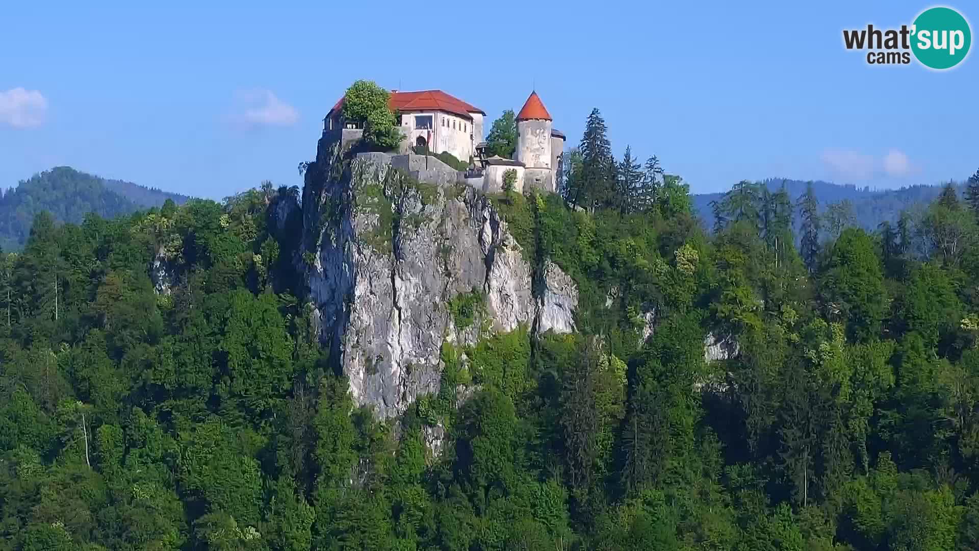Panorama of Lake Bled