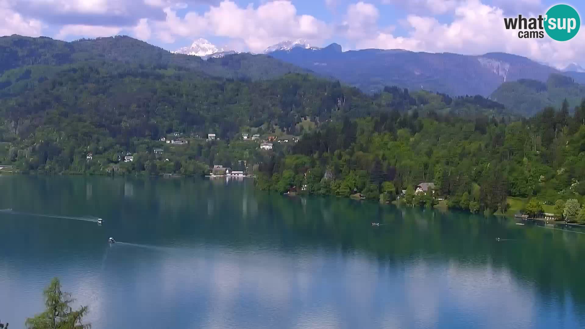 Panorama Blejskega jezera