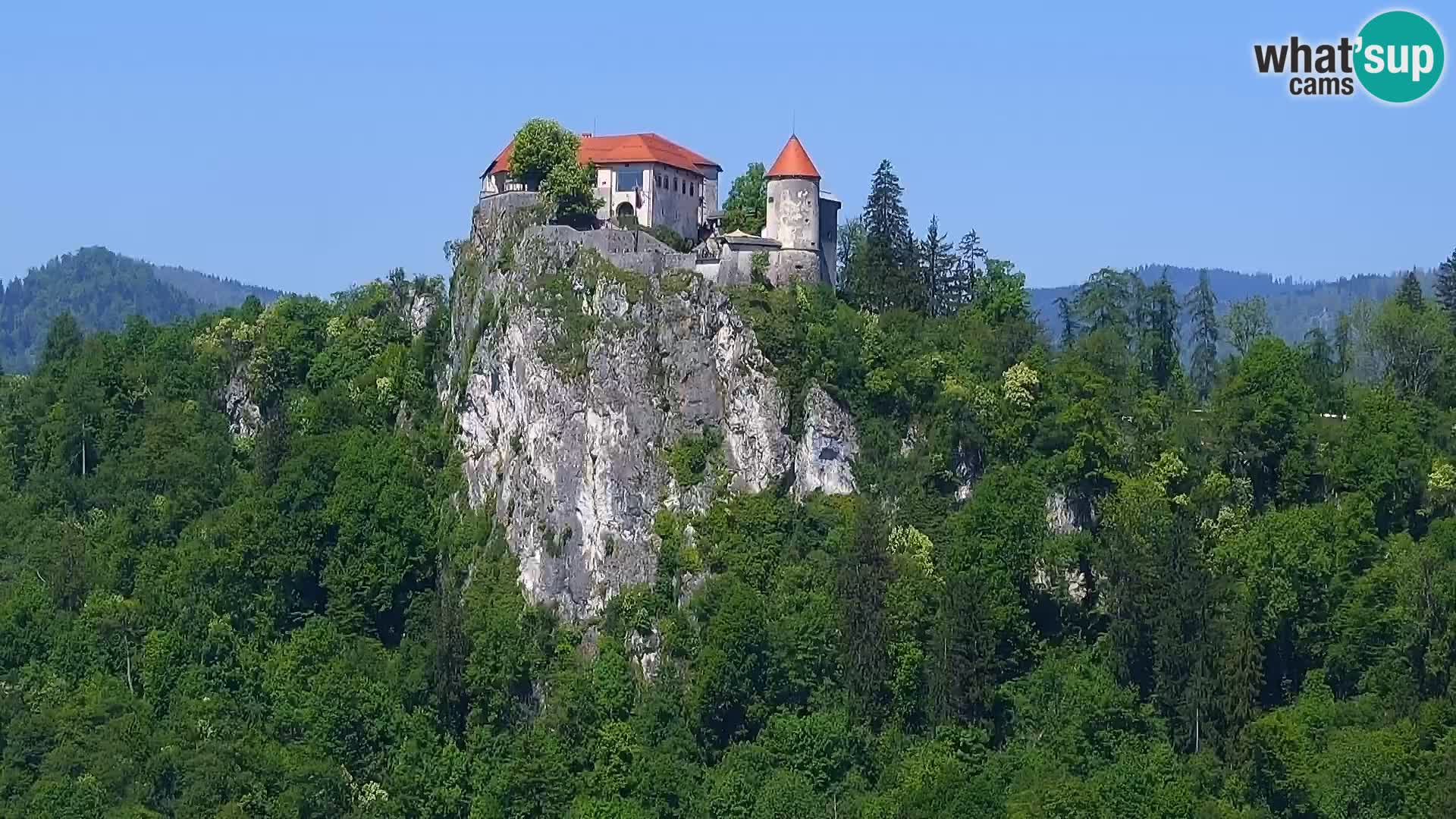 Panorama des Sees Bled