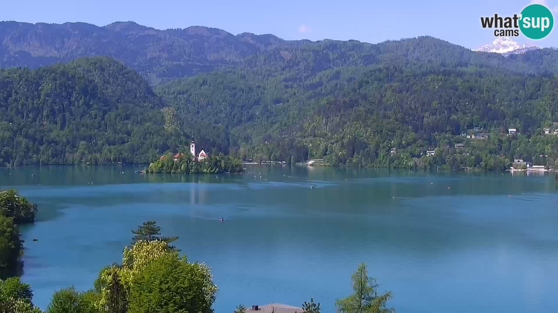 Panorama des Sees Bled