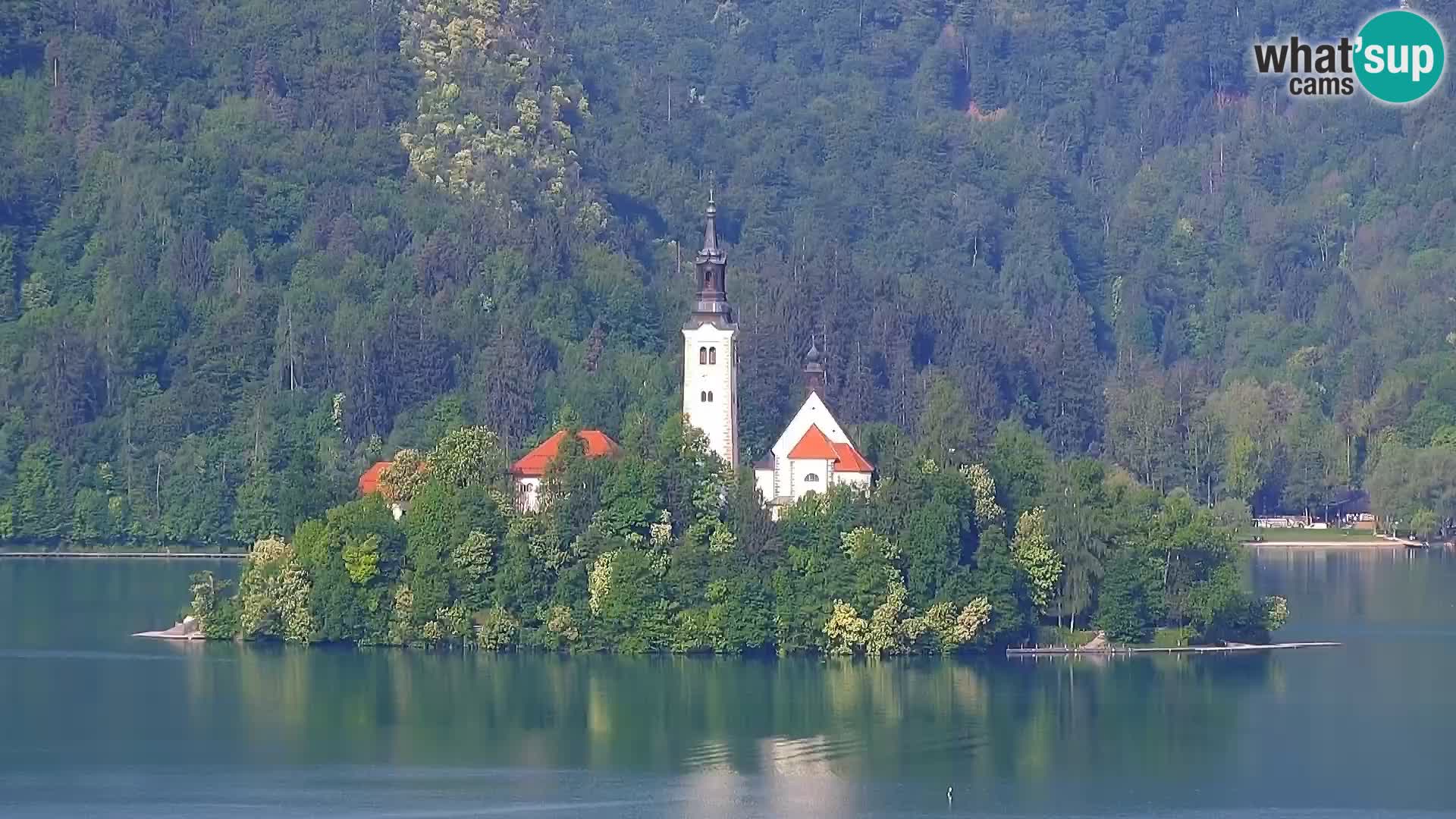 Panorama Blejskega jezera