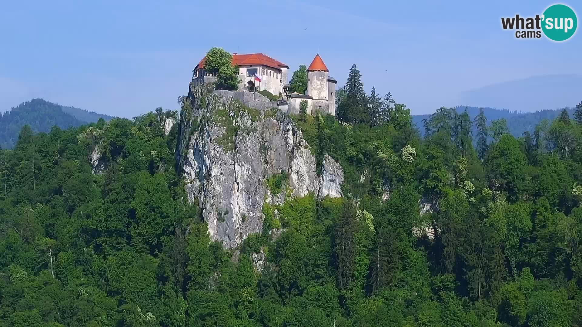 Panorama du lac de Bled