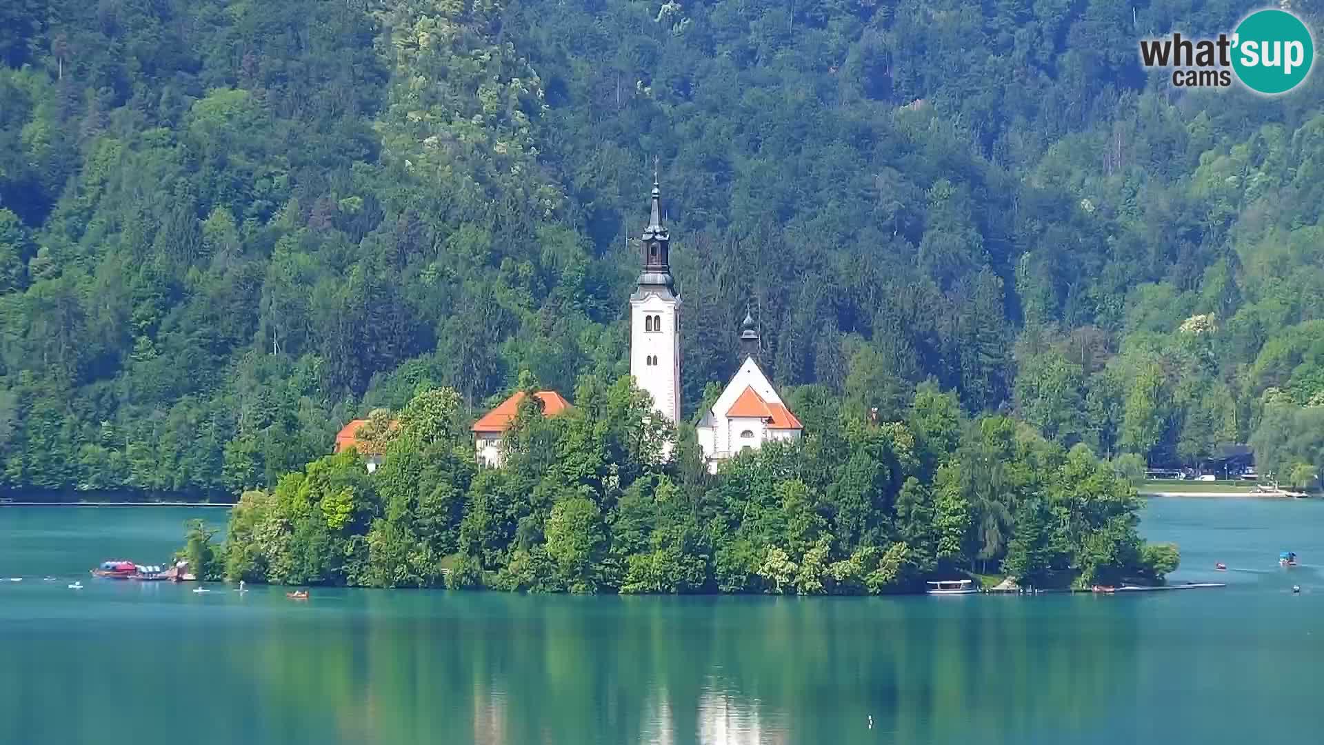 Panorama des Sees Bled