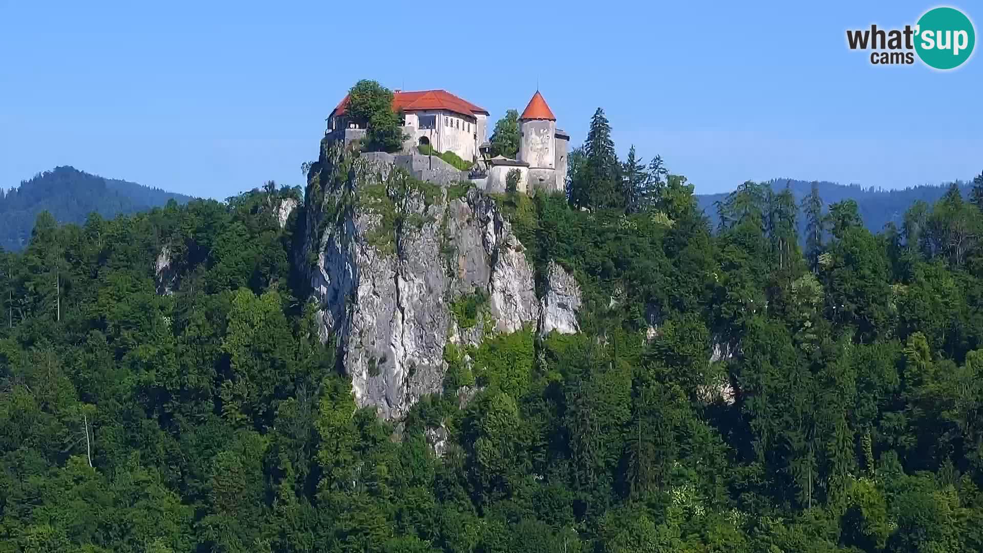 Panorama del lago Bled