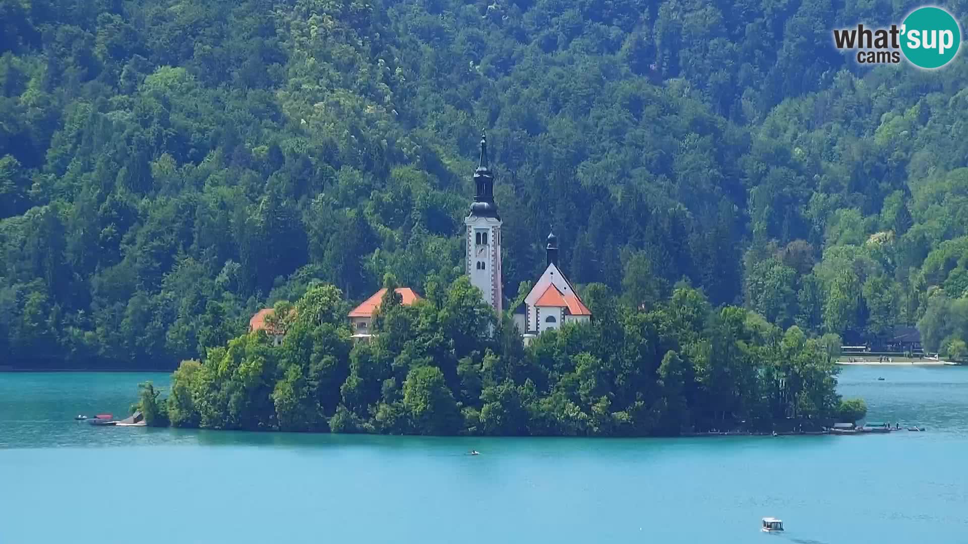 Panorama Blejskega jezera