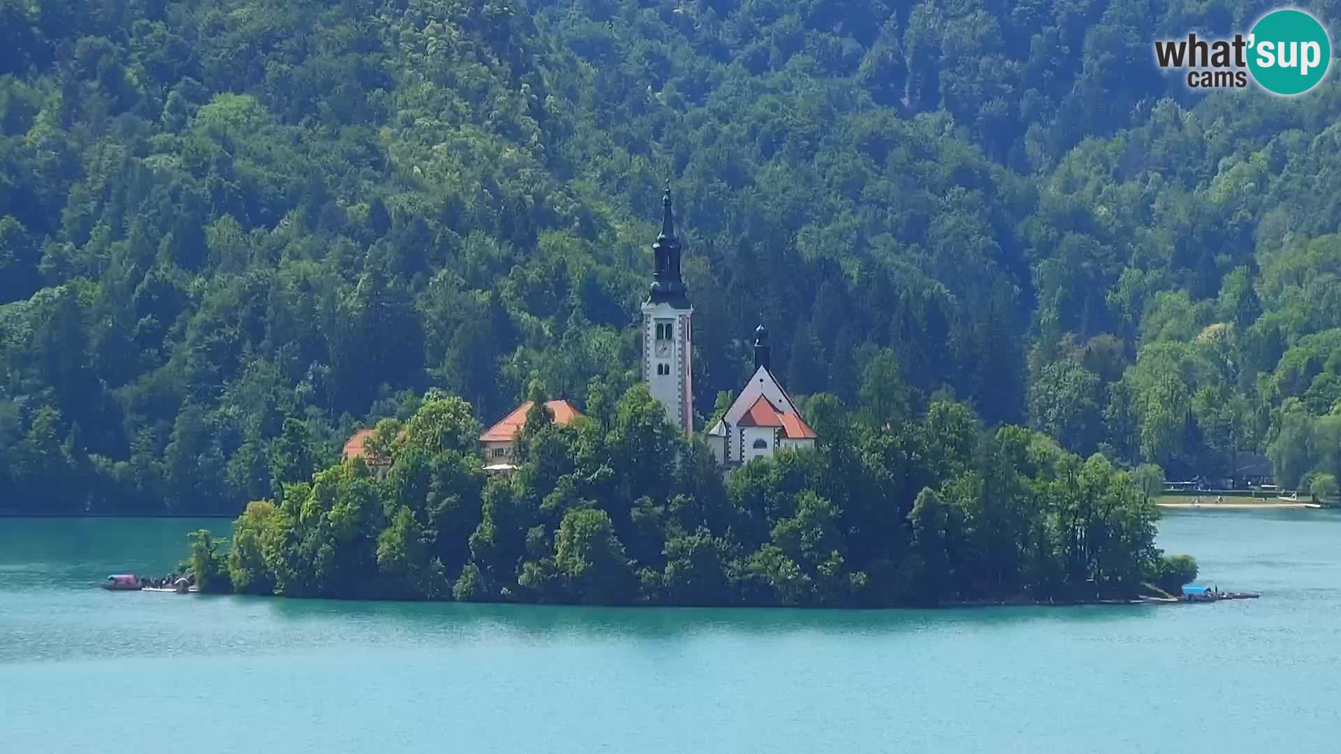 Panorama Blejskega jezera