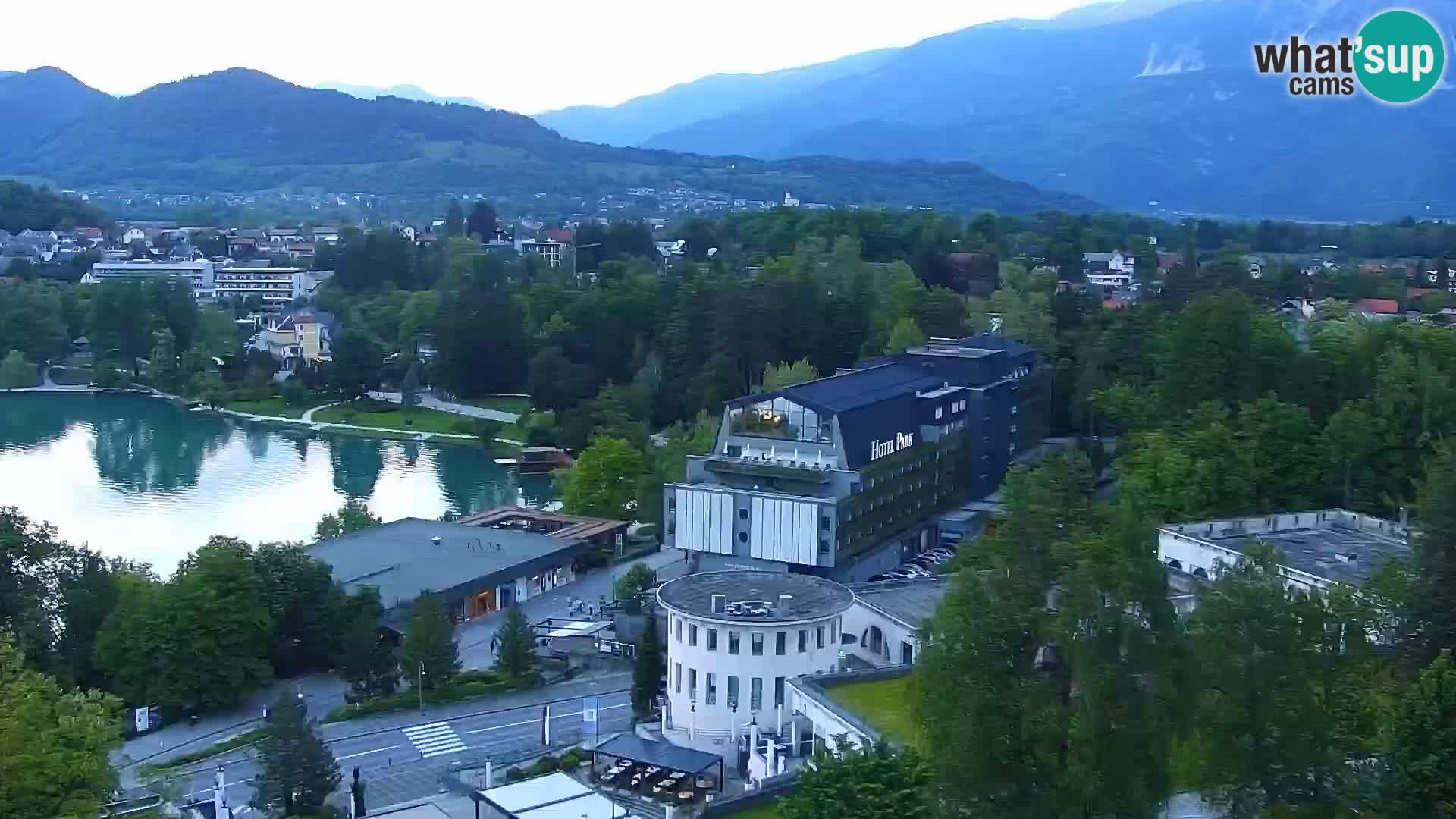 Panorama Bledskog jezera