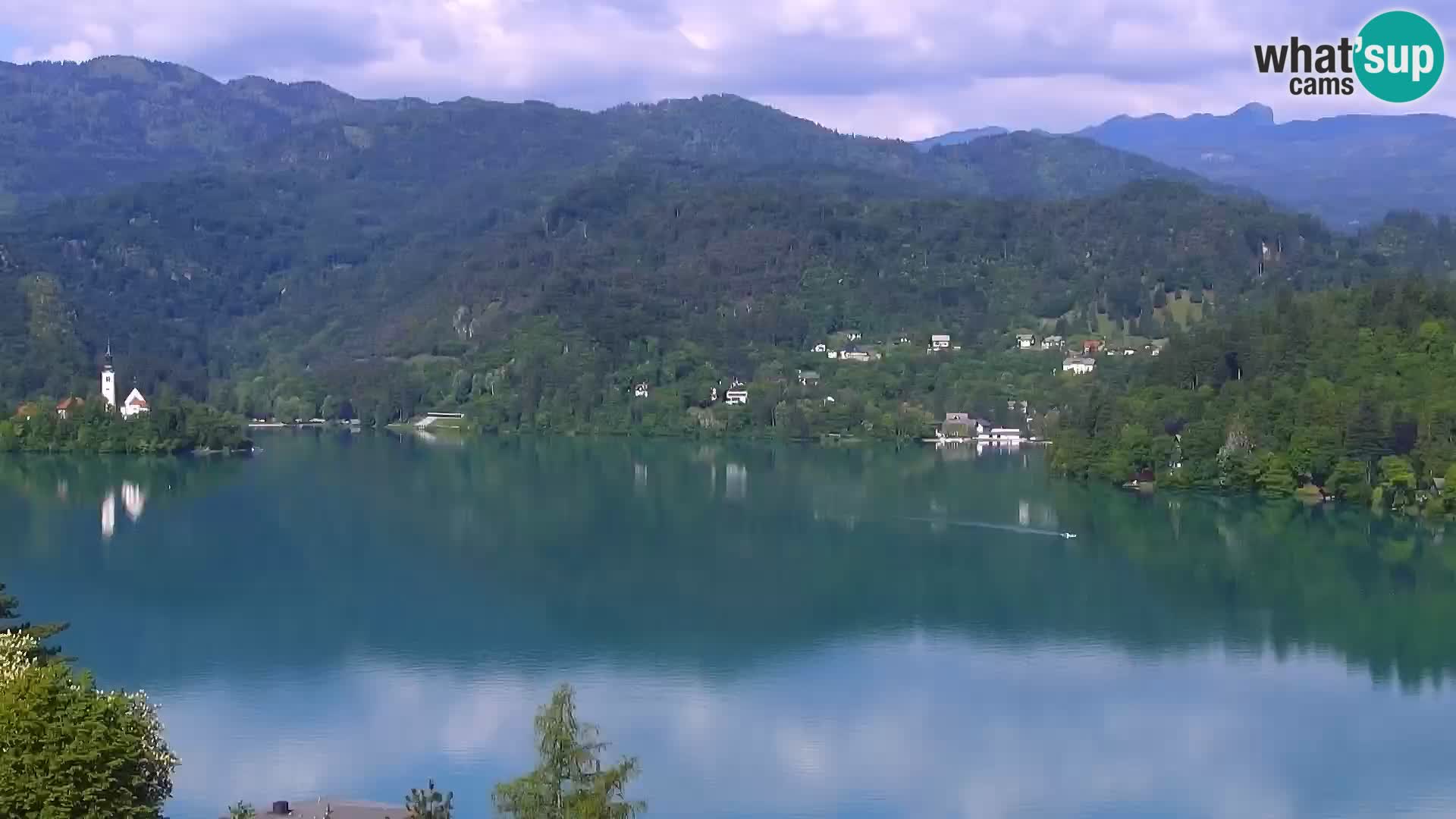Panorama Bledskog jezera