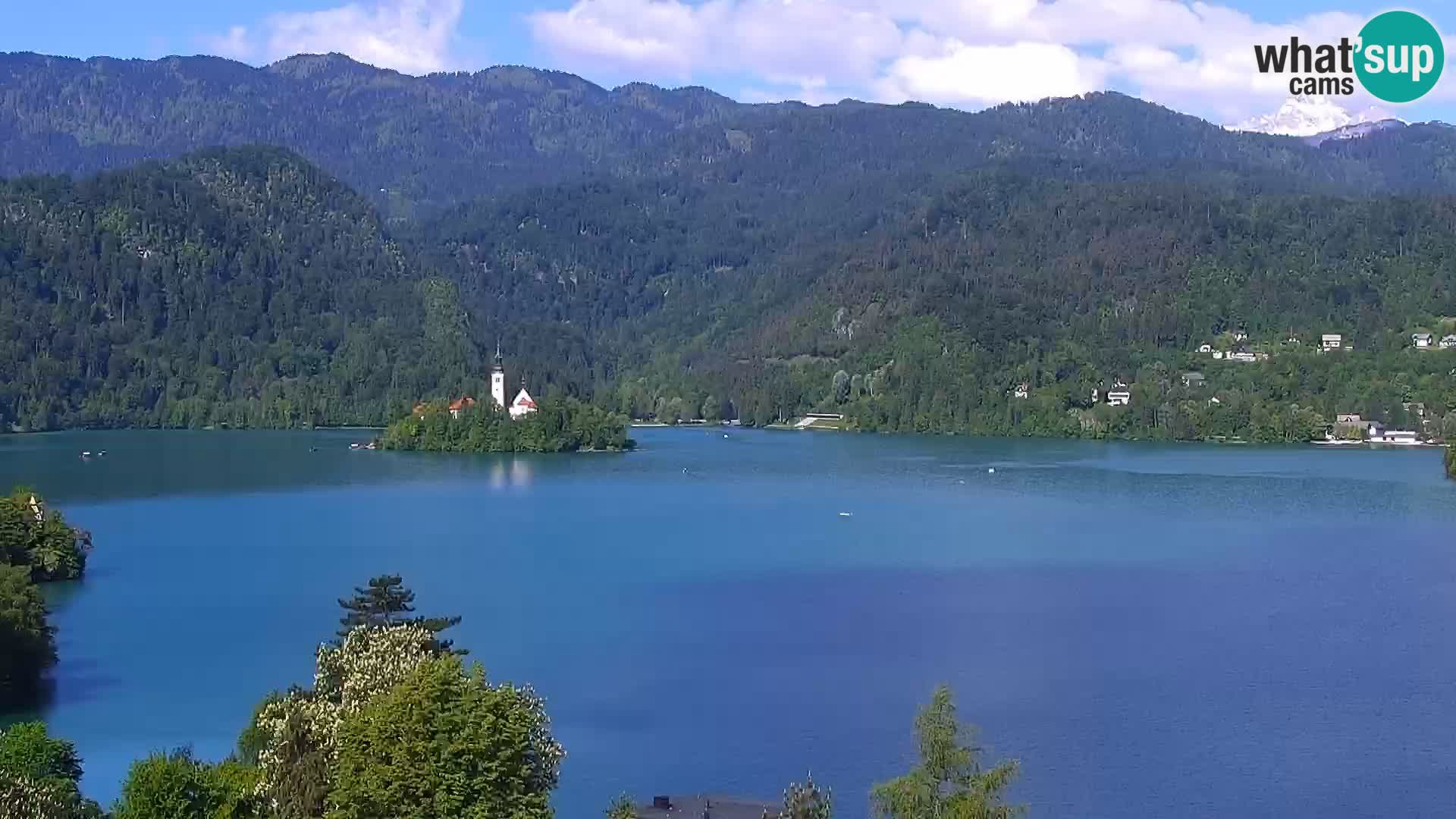 Panorama Bledskog jezera