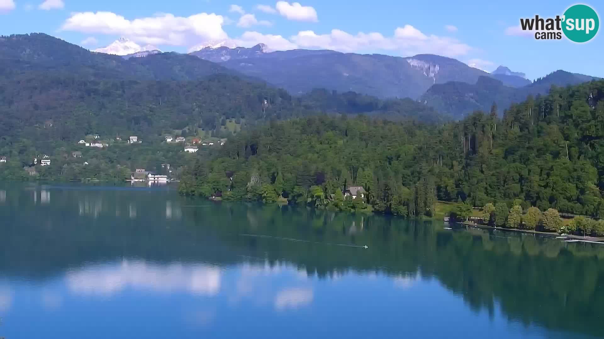 Panorama Bledskog jezera