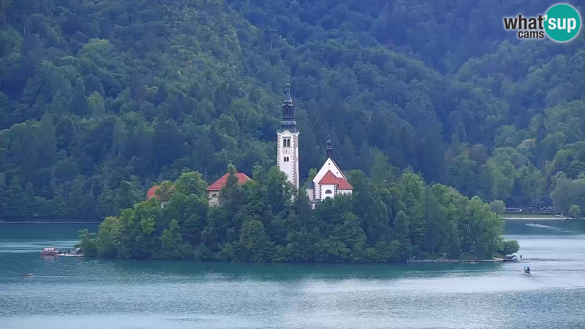 Panorama Bledskog jezera