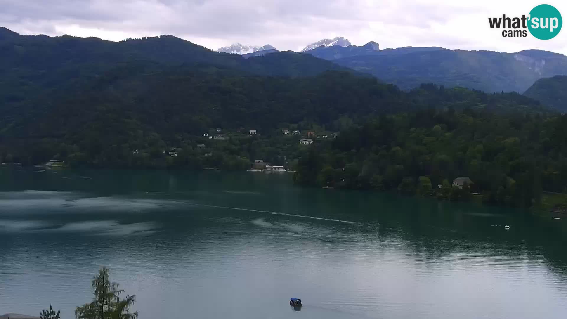 Panorama des Sees Bled