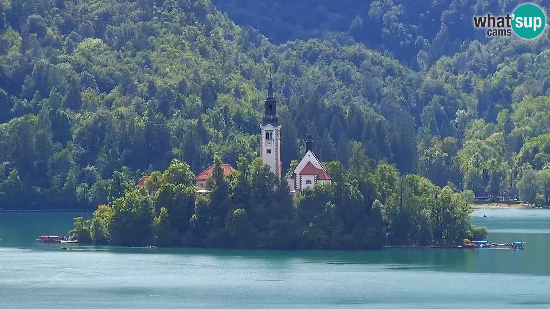 Panorama des Sees Bled