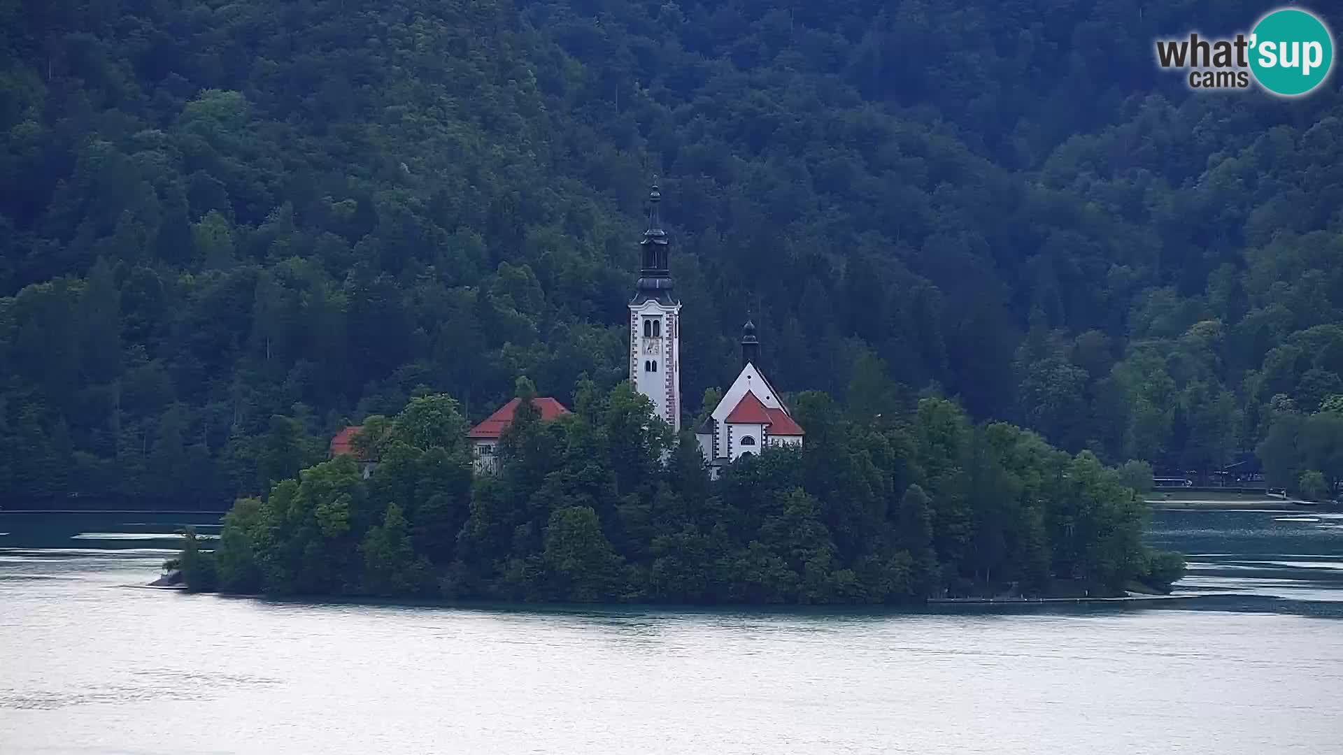 Panorama des Sees Bled