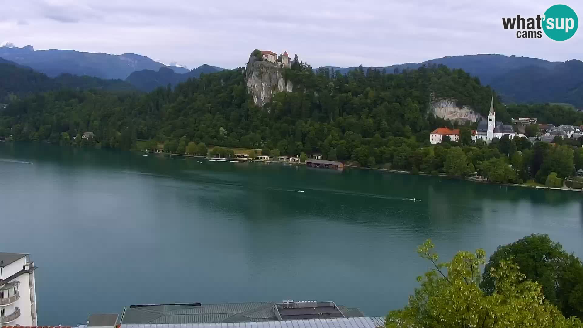 Panorama Bledskog jezera