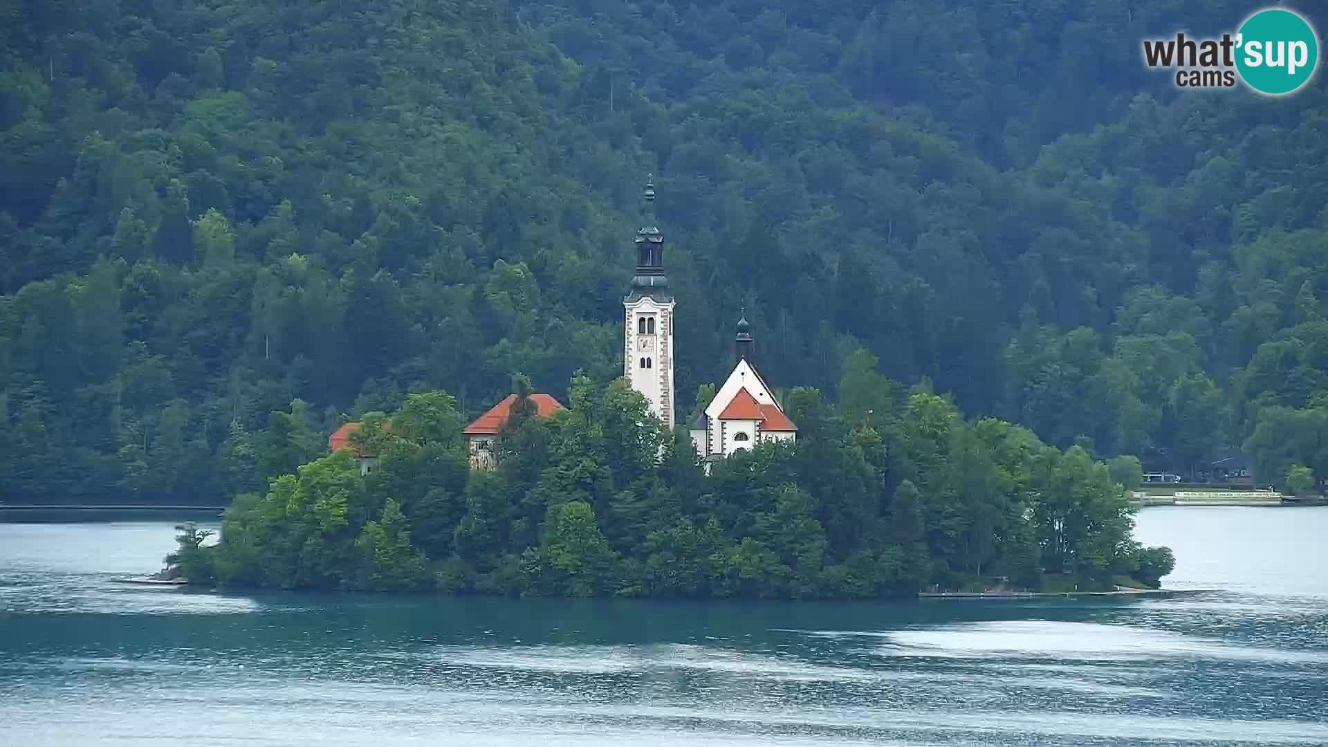 Panorama del lago Bled