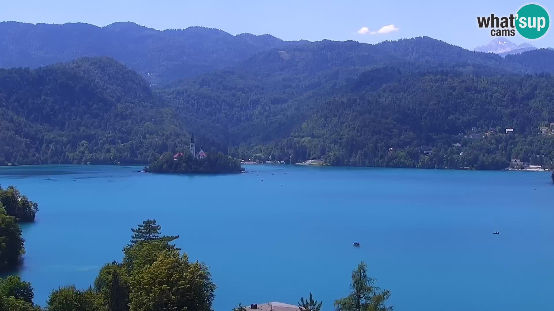 Panorama Bledskog jezera