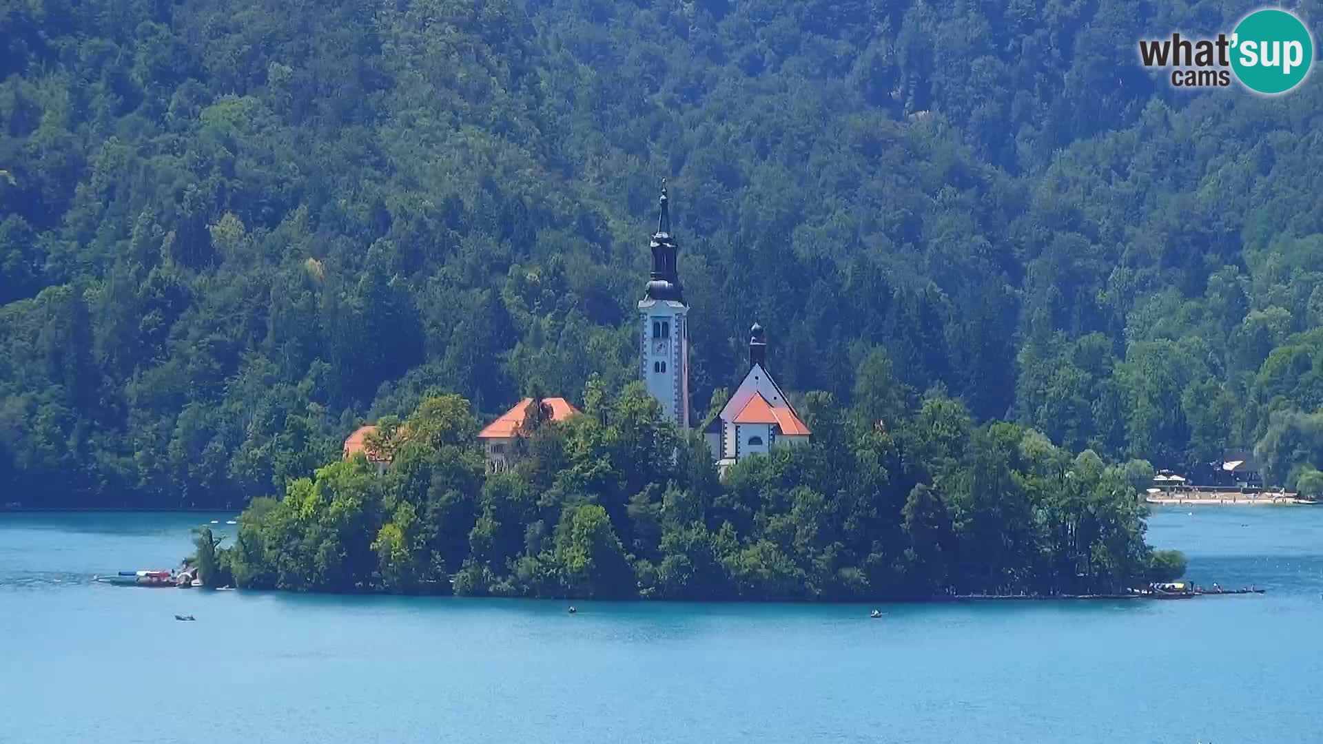 Panorama du lac de Bled