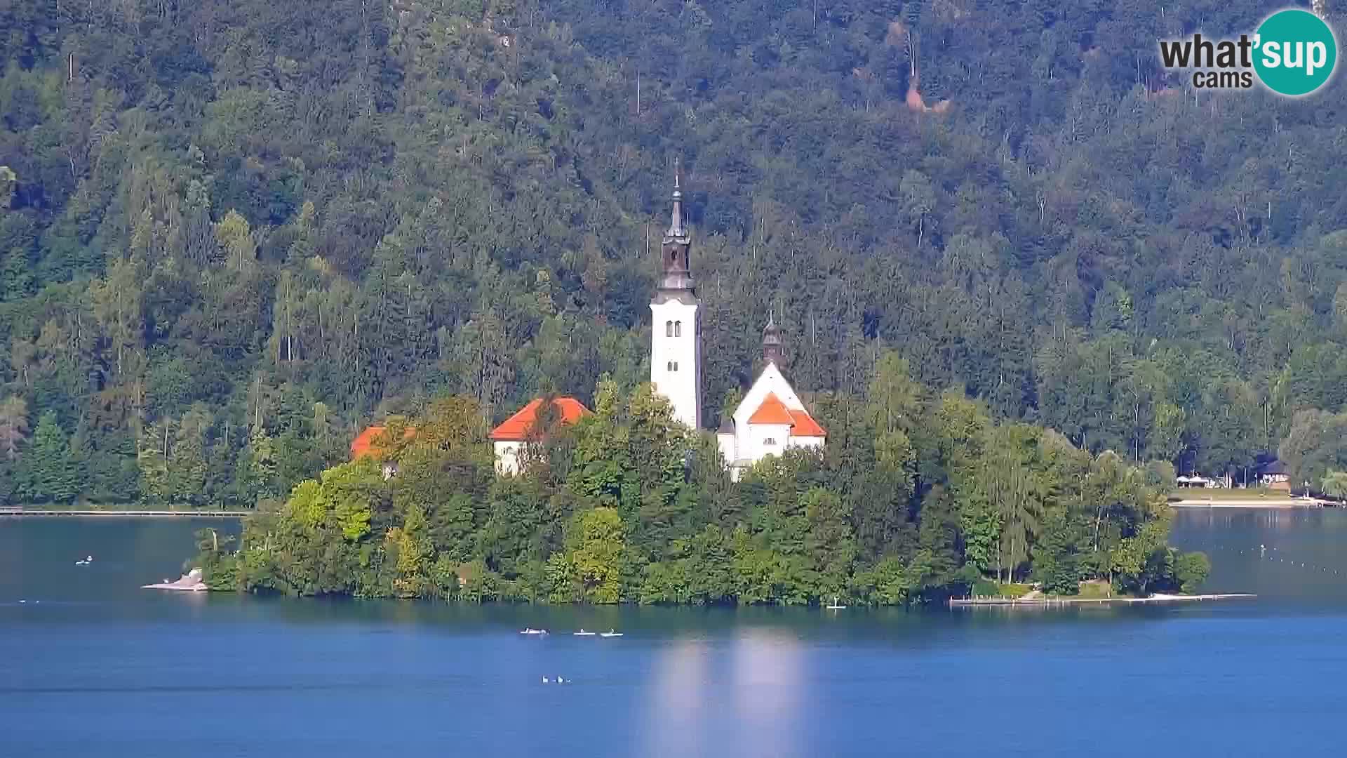Panorama Bledskog jezera