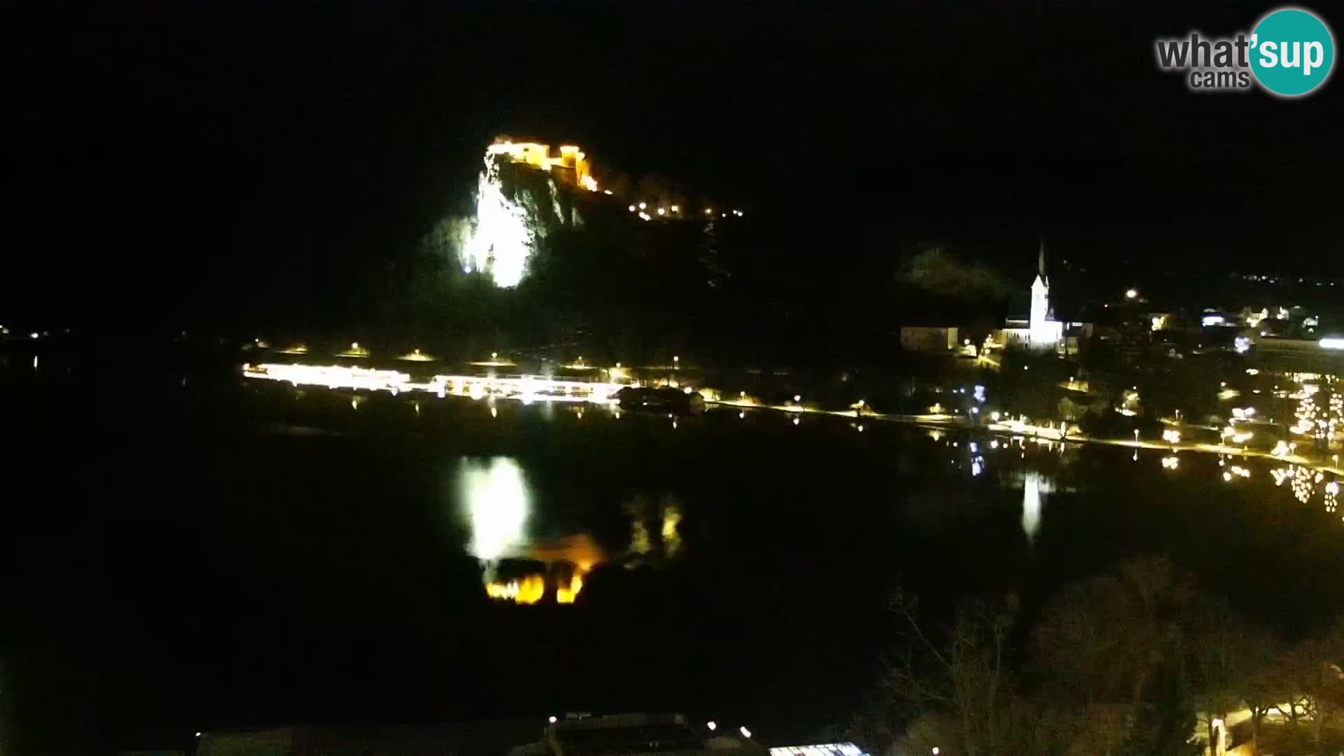 Panorama des Sees Bled