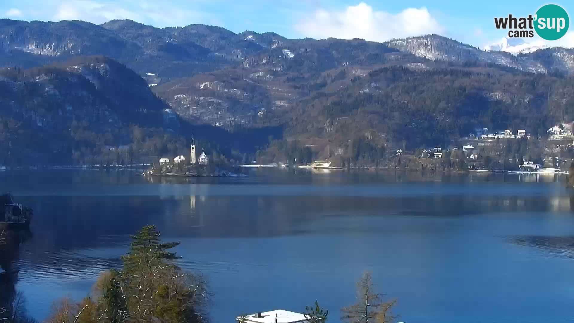 Panorama des Sees Bled
