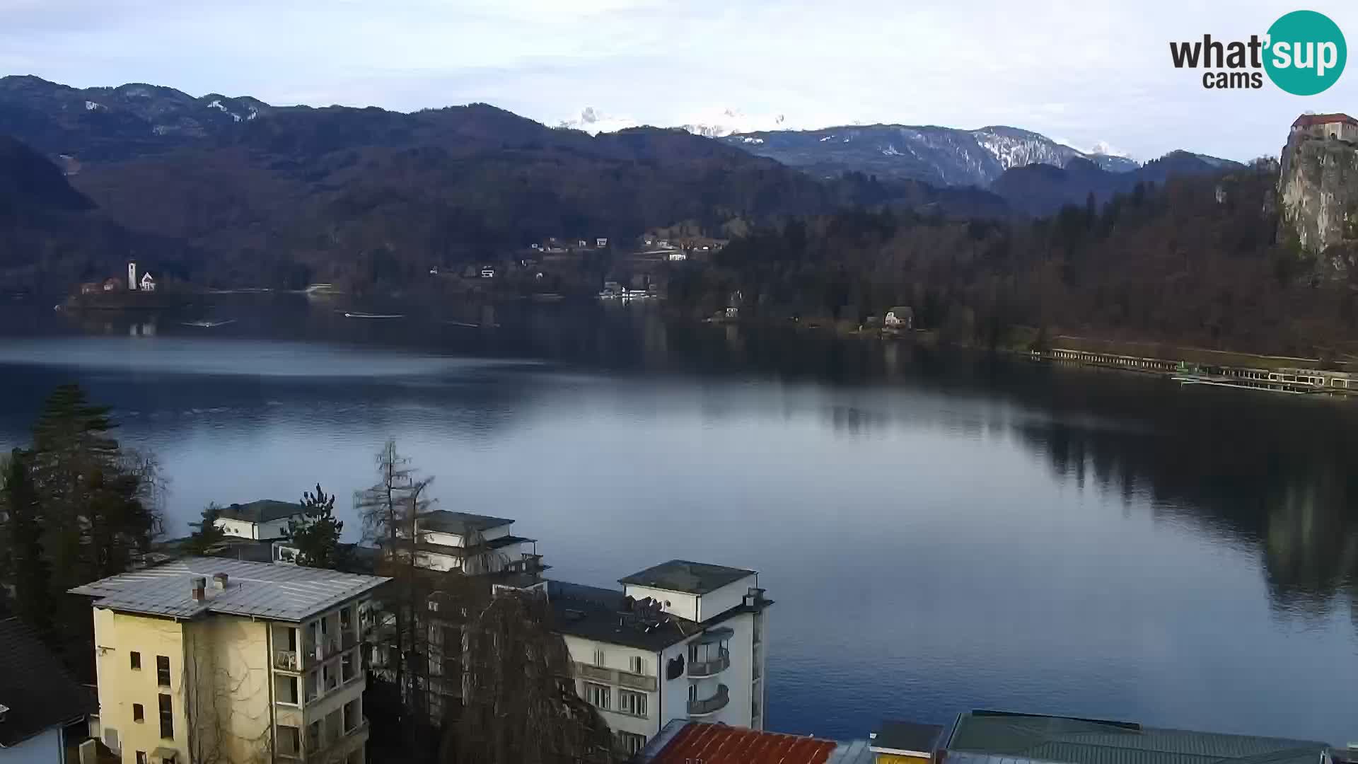 Panorama Bledskog jezera