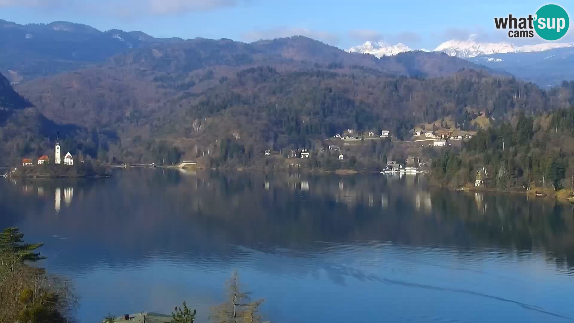 Panorama des Sees Bled