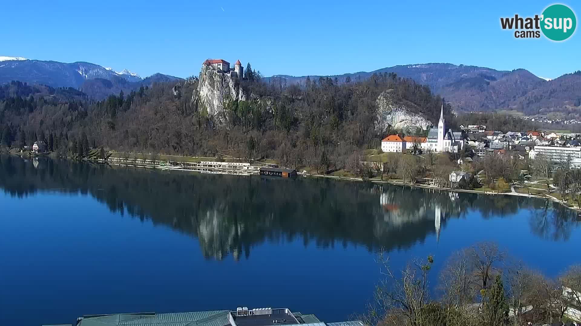 Panorama Blejskega jezera