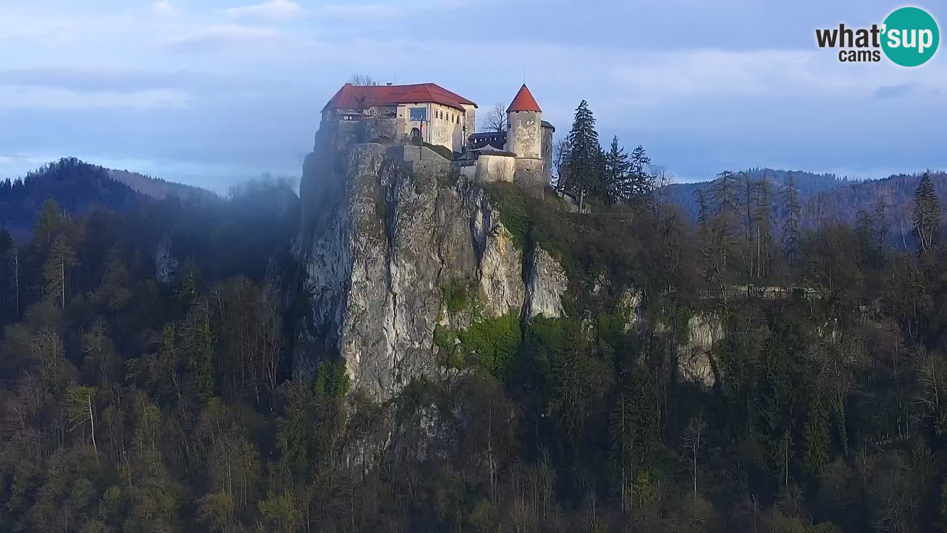 Panorama Blejskega jezera