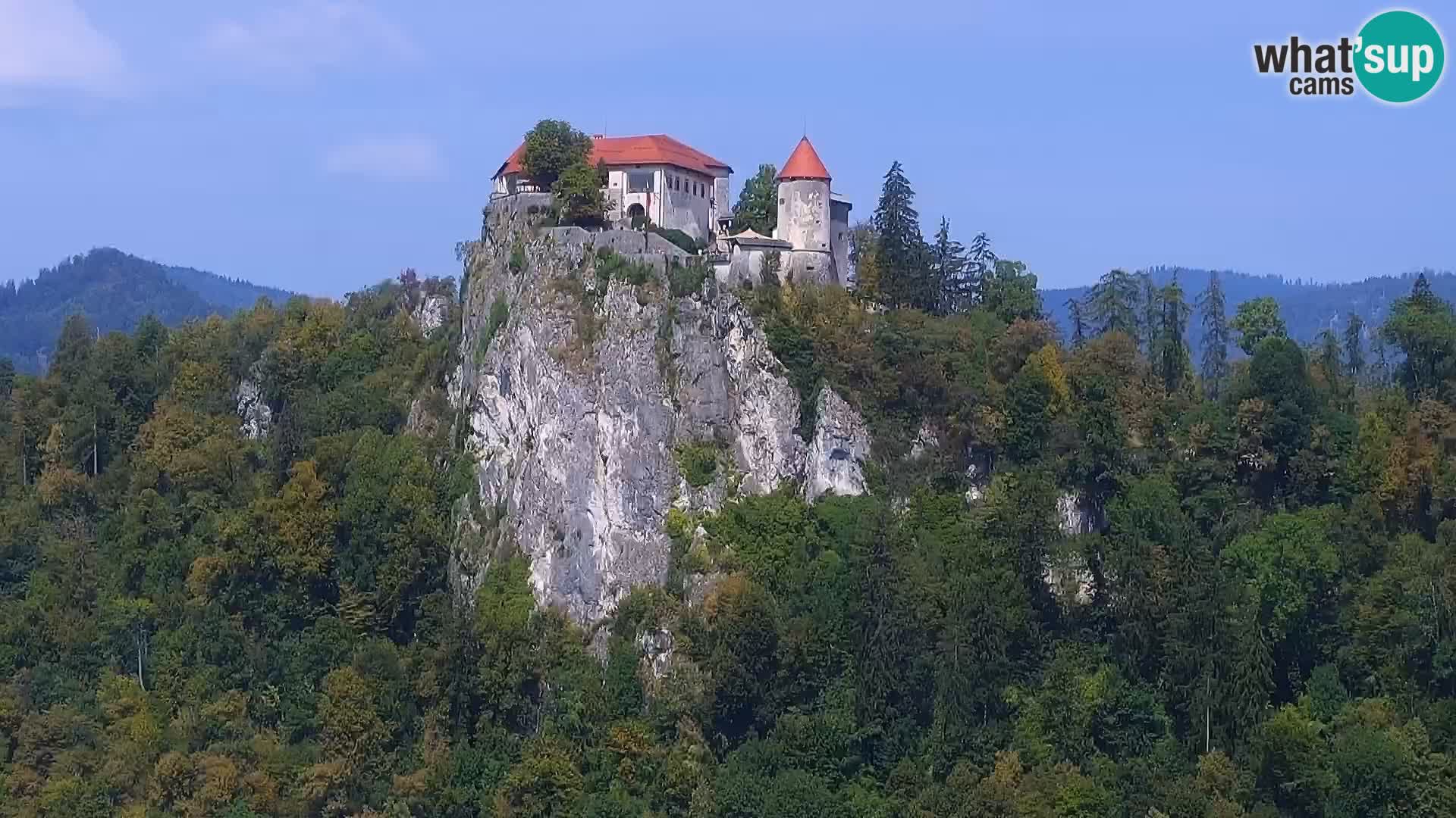 Panorama du lac de Bled