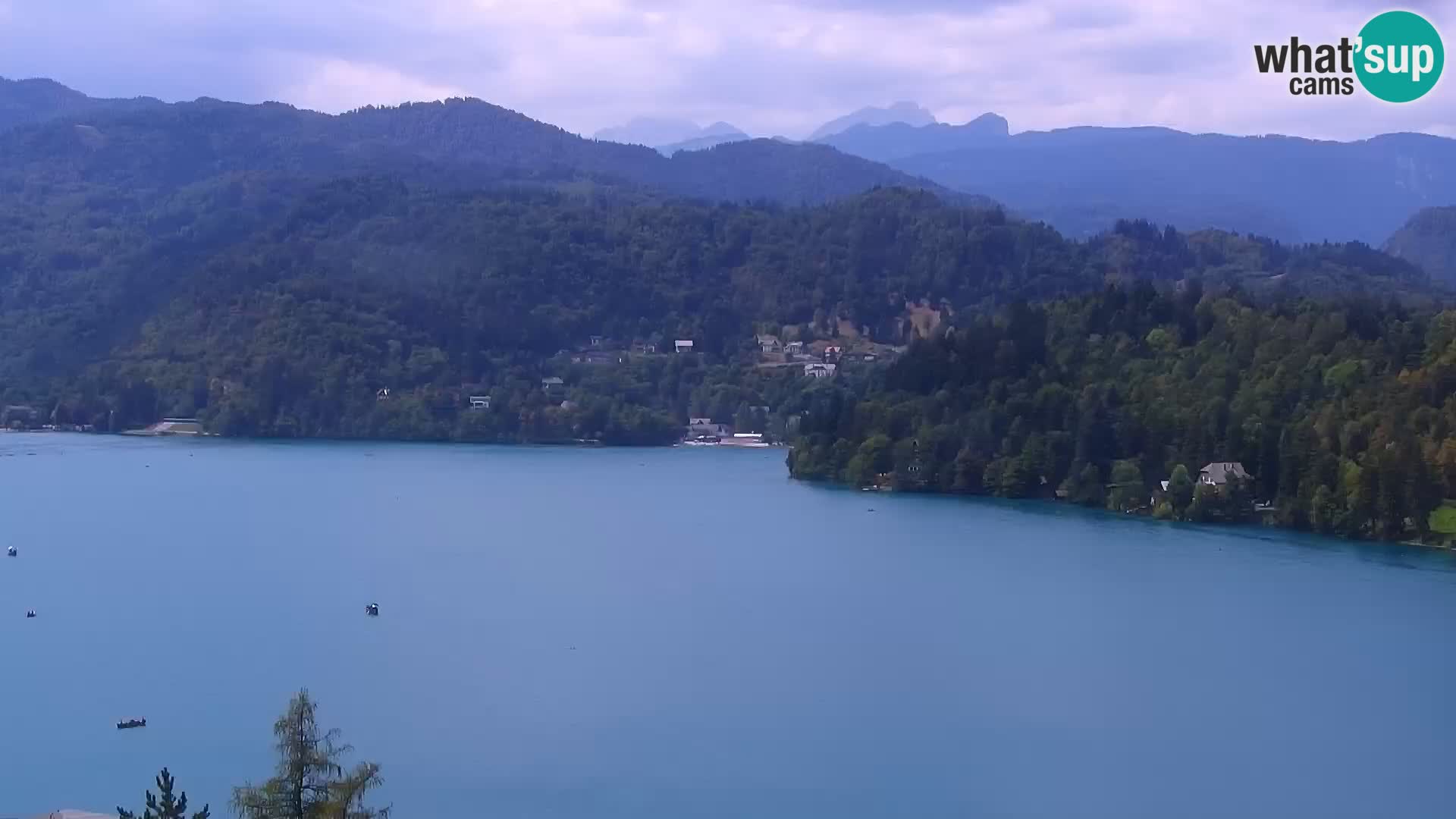 Panorama des Sees Bled