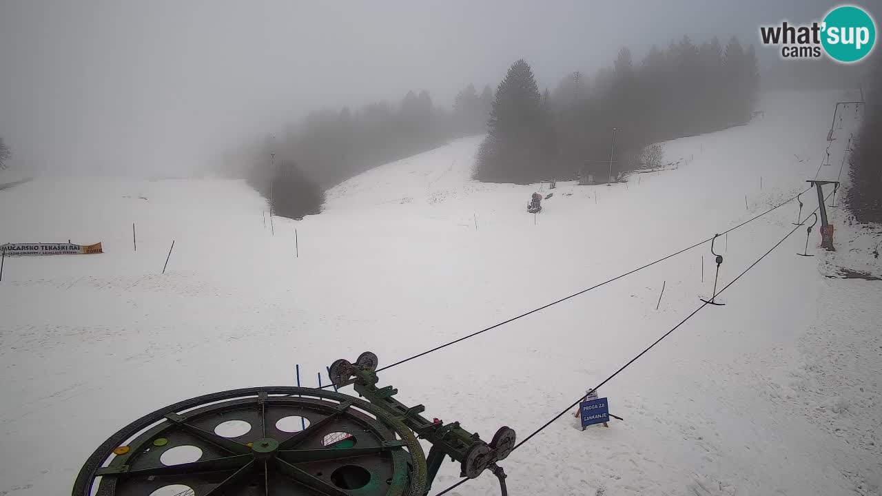 Webcam Smučišče Senožeta – Ski Resort Live View near Bohinj