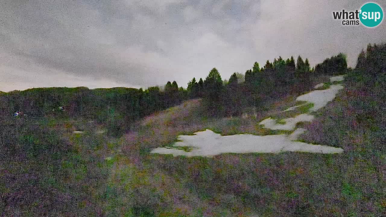 Webcam Smučišče Senožeta – Skigebiet in Srednja Vas bei Bohinj