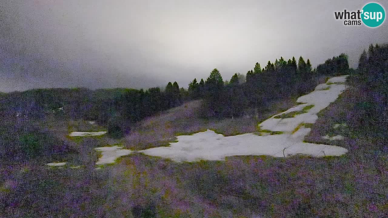 Webcam Smučišče Senožeta – Skigebiet in Srednja Vas bei Bohinj