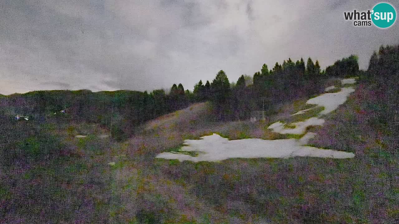 Webcam Smučišče Senožeta – Stazione sciistica a Srednja Vas vicino Bohinj