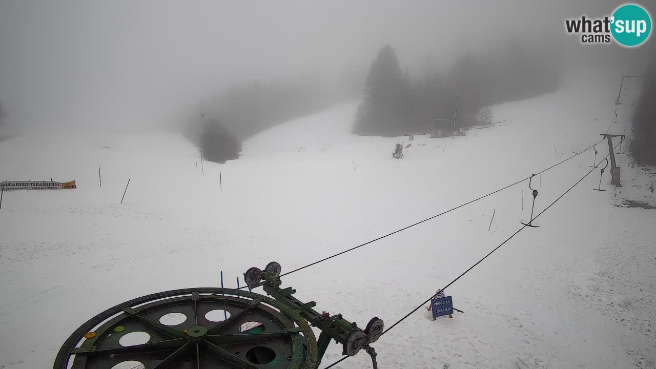 Webcam Smučišče Senožeta – Ski Resort Live View near Bohinj