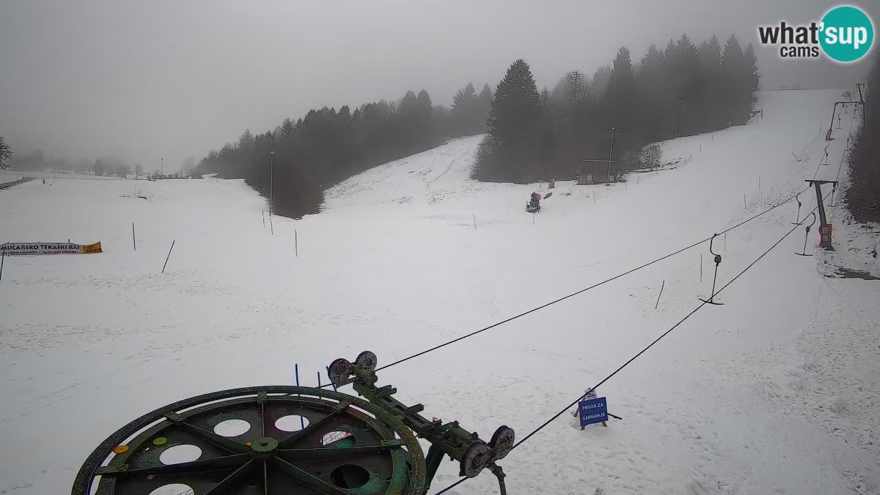 Webcam Smučišče Senožeta – Skigebiet in Srednja Vas bei Bohinj