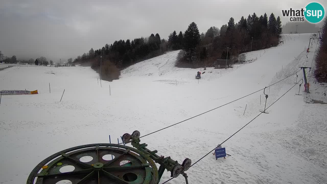 Webcam Smučišče Senožeta – Ski Resort Live View near Bohinj