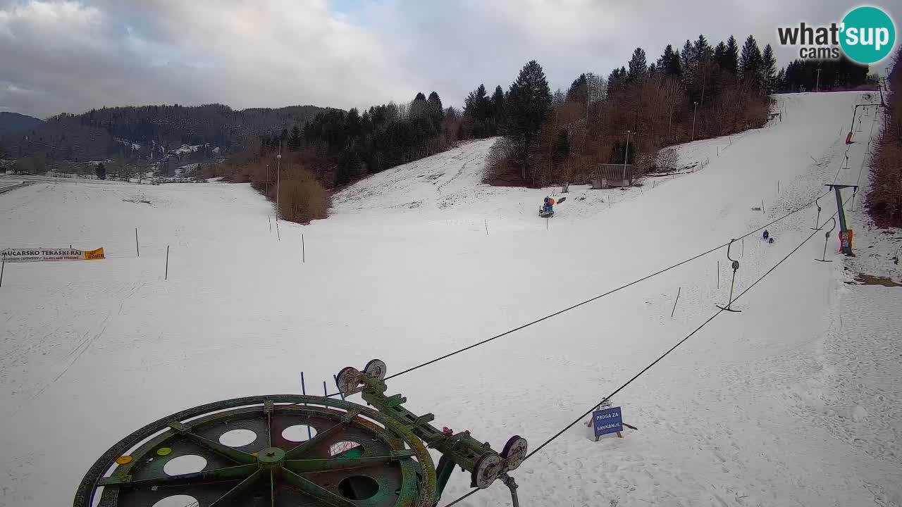 Spletna kamera Smučišče Senožeta – smučarsko središče v Srednji vasi pri Bohinju