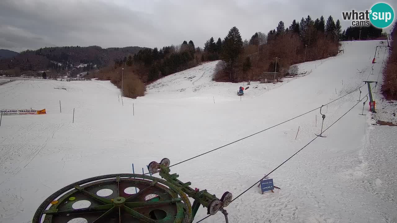 Webcam Smučišče Senožeta – Ski Resort Live View near Bohinj