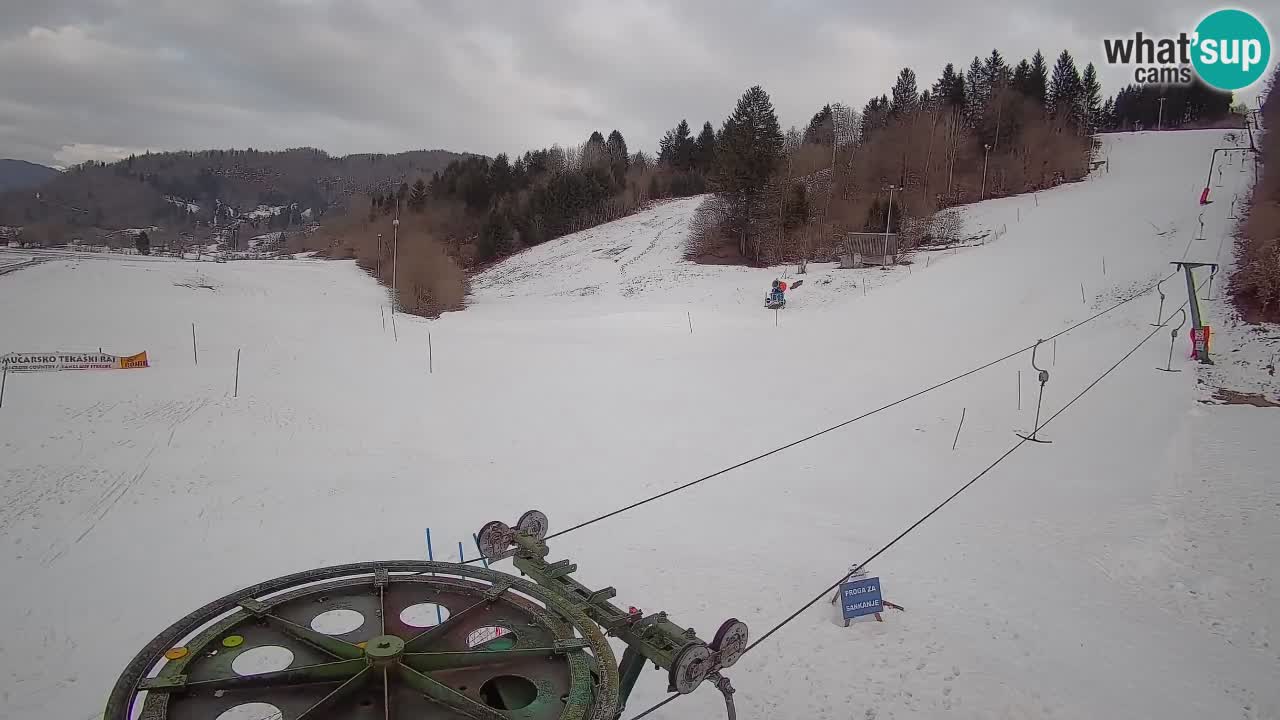 Webcam Smučišče Senožeta – Skigebiet in Srednja Vas bei Bohinj