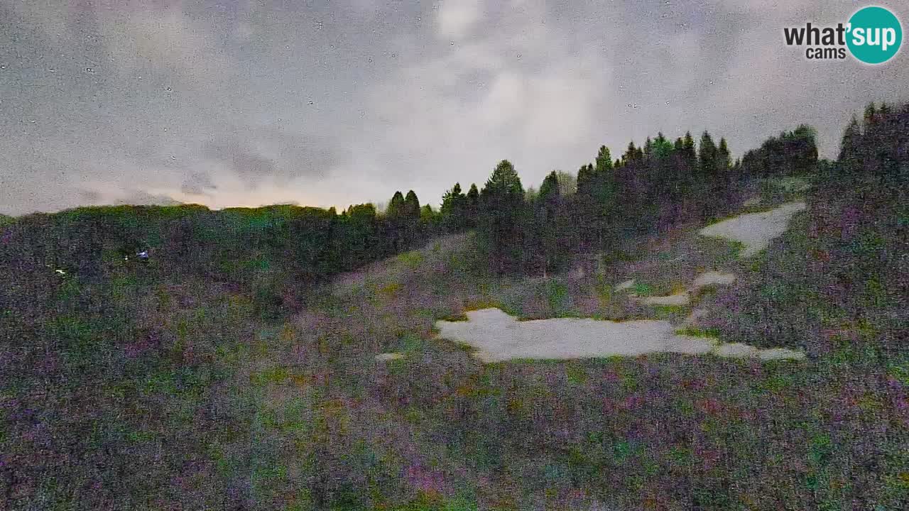 Webcam Smučišče Senožeta – Ski Resort Live View near Bohinj