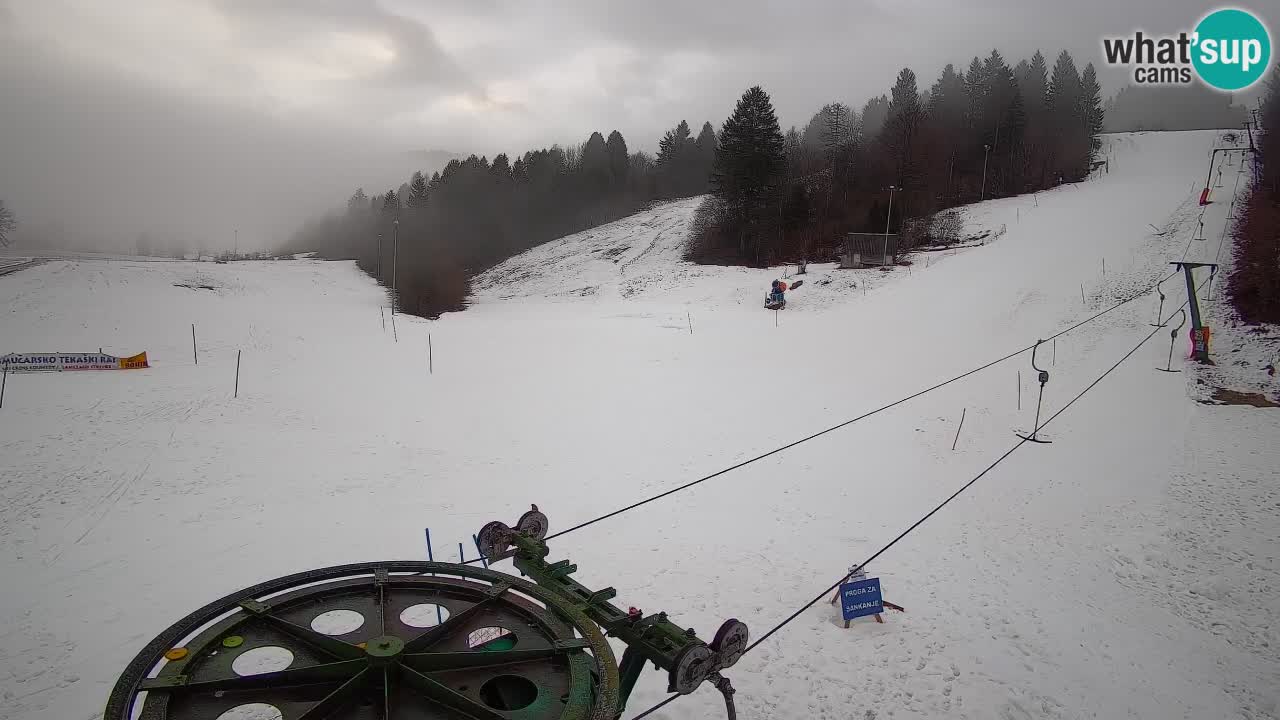 Webcam Smučišče Senožeta – Ski Resort Live View near Bohinj